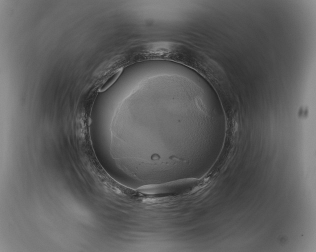 X0000110971394200906191324
