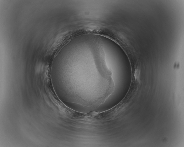 X0000110971396200906191324