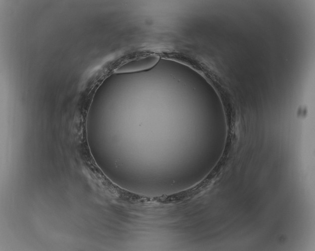 X0000110971398200906191325