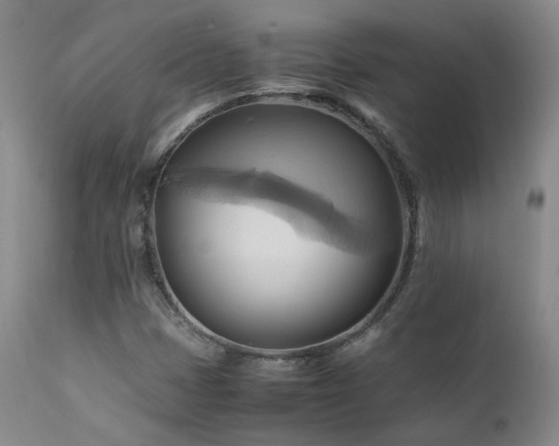 X0000110971401200906191325