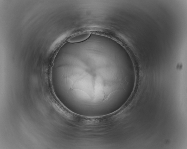 X0000110971403200906191325