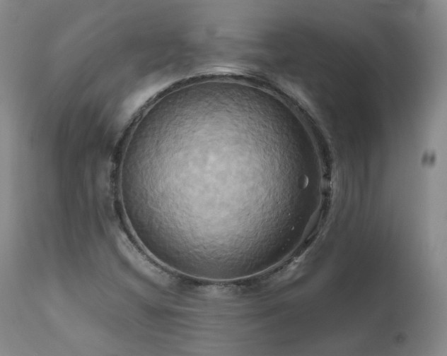 X0000110971404200906191325