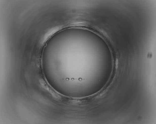 X0000110971405200906191325