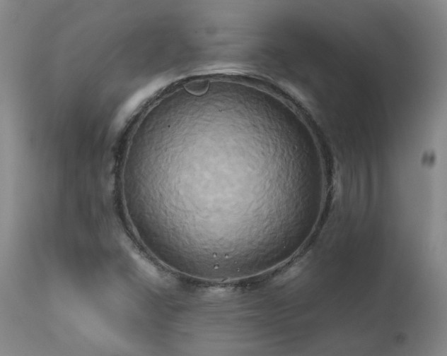 X0000110971406200906191325