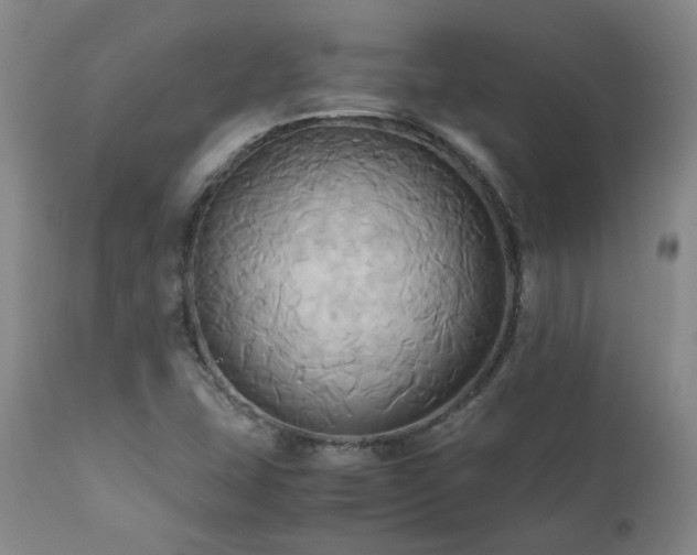 X0000110971407200906191325