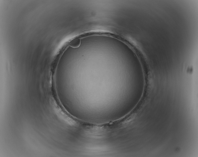 X0000110971408200906191325