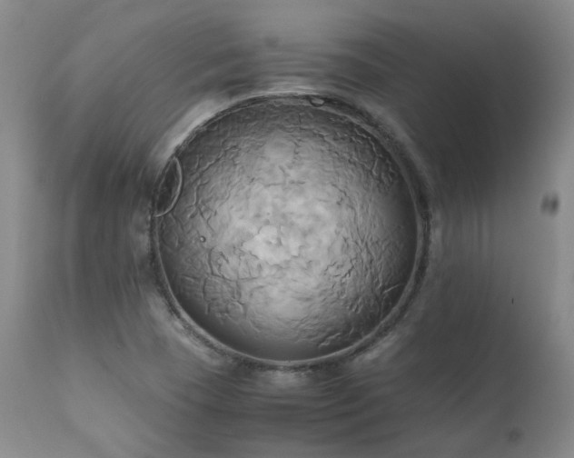 X0000110971409200906191325