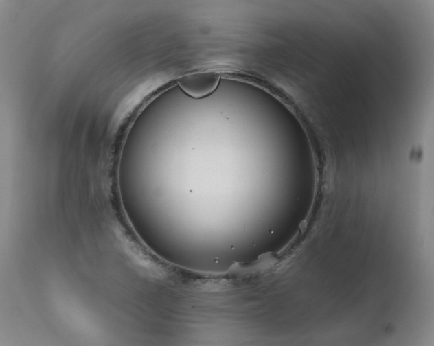 X0000110971410200906191325