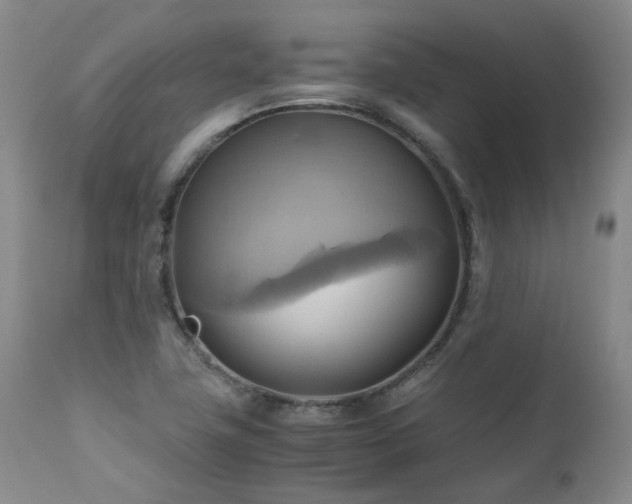 X0000110971411200906191325