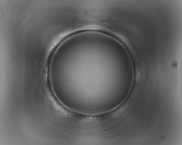 X0000110971414200906191325