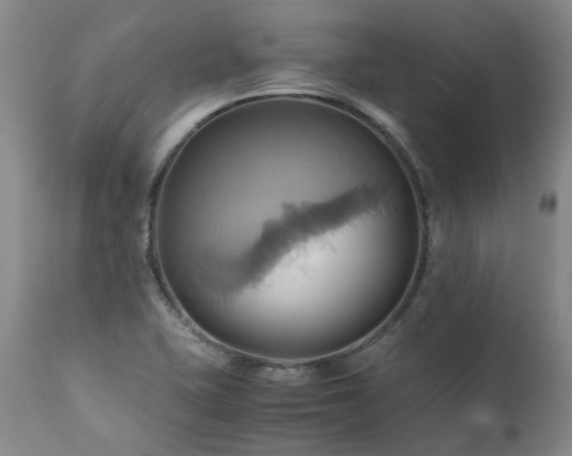 X0000110971415200906191325