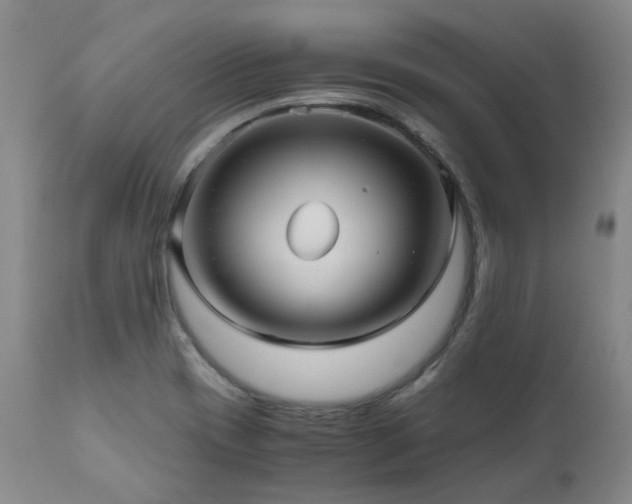 X0000110971417200906191325