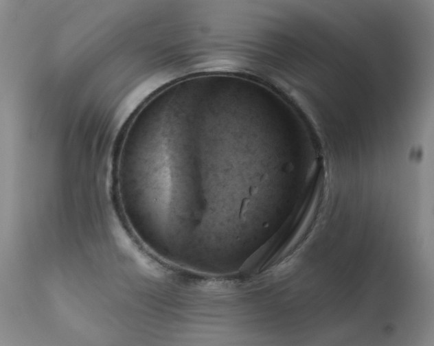 X0000110971418200906191325