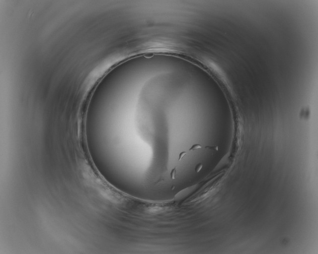 X0000110971419200906191325