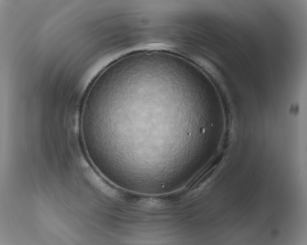 X0000110971420200906191325