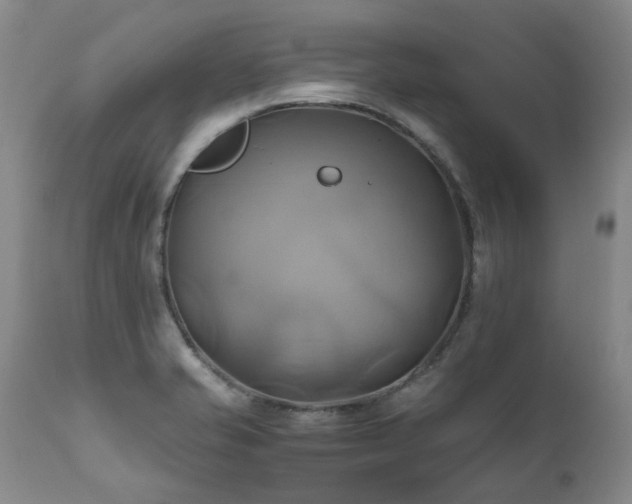 X0000110971421200906191325