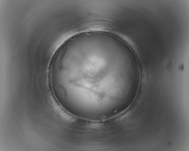 X0000110971423200906191325