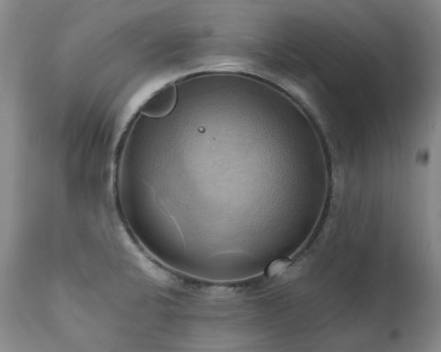 X0000110971424200906191325