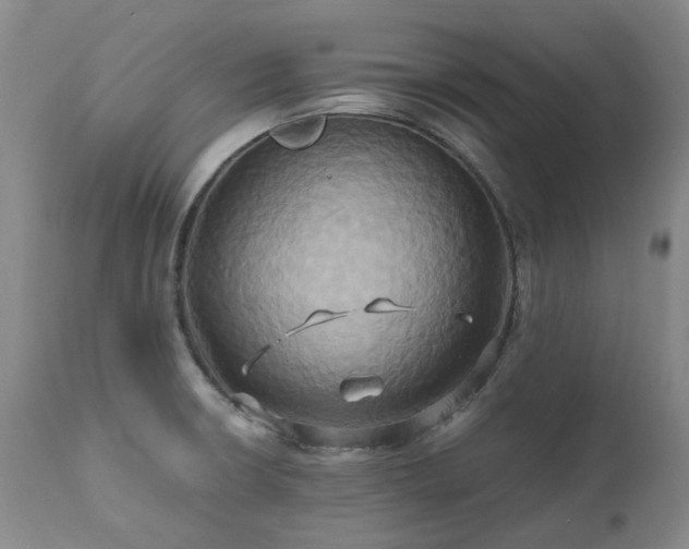 X0000110971426200906191325