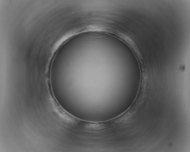 X0000110971427200906191325