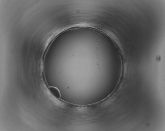 X0000110971428200906191325