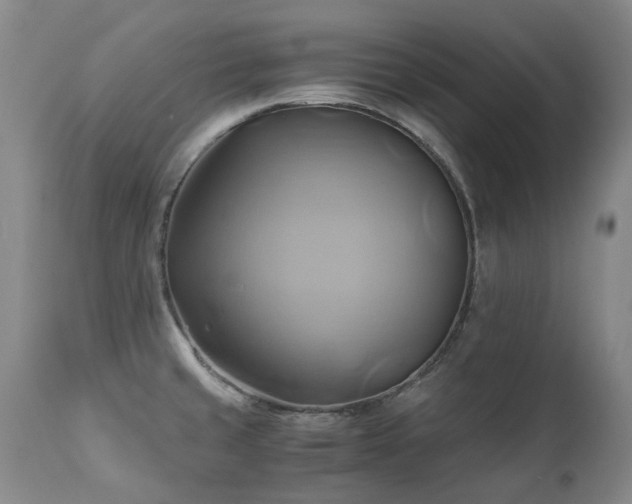 X0000110971429200906191325