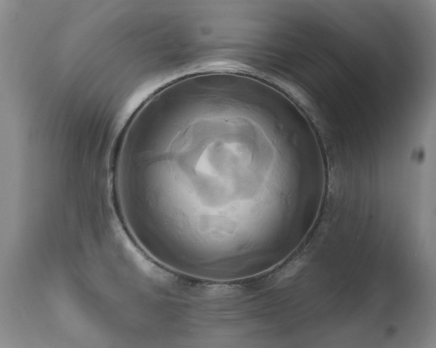 X0000110971430200906191325