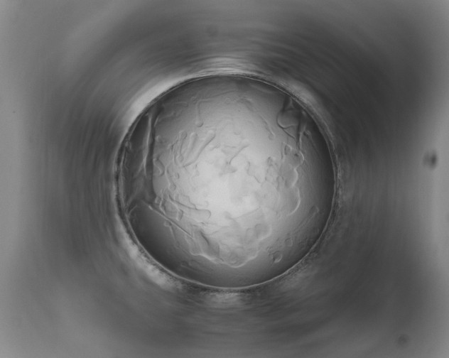 X0000110971431200906191325