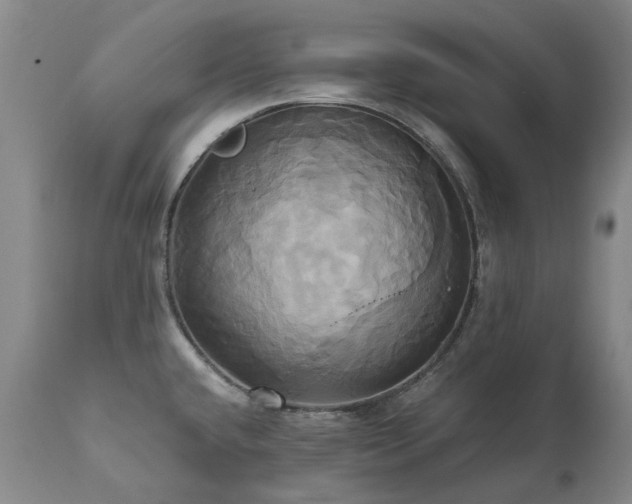 X0000110971432200906191325