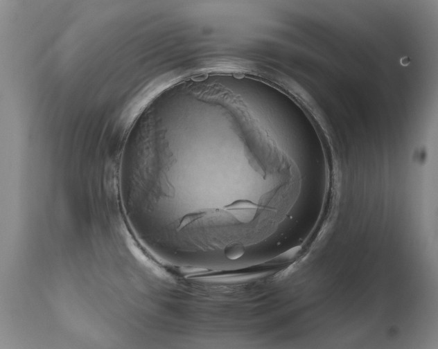 X0000110971433200906191325