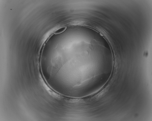 X0000110971434200906191325