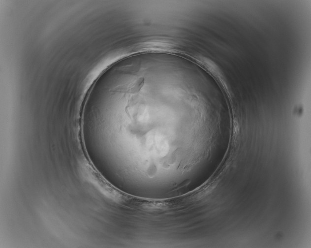 X0000110971435200906191325