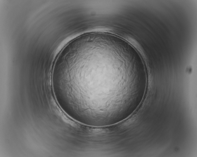 X0000110971436200906191325