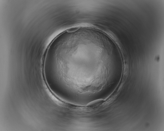 X0000110971438200906191325