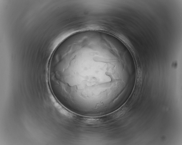 X0000110971439200906191325