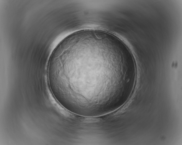 X0000110971440200906191325