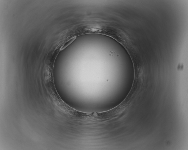 X0000110971442200906191324