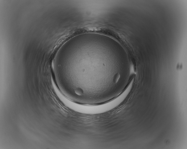 X0000110971444200906191324