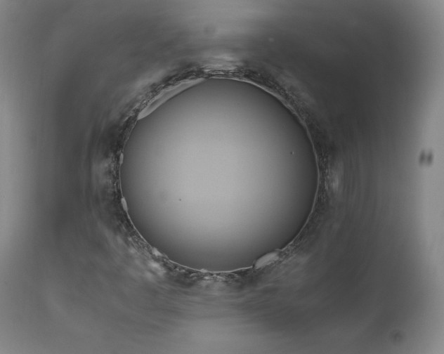 X0000110971445200906191324