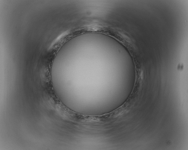 X0000110971446200906191324