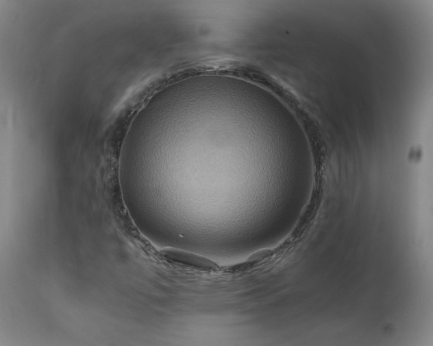 X0000110971447200906191324