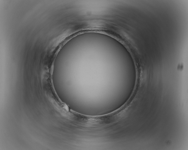 X0000110971449200906191324