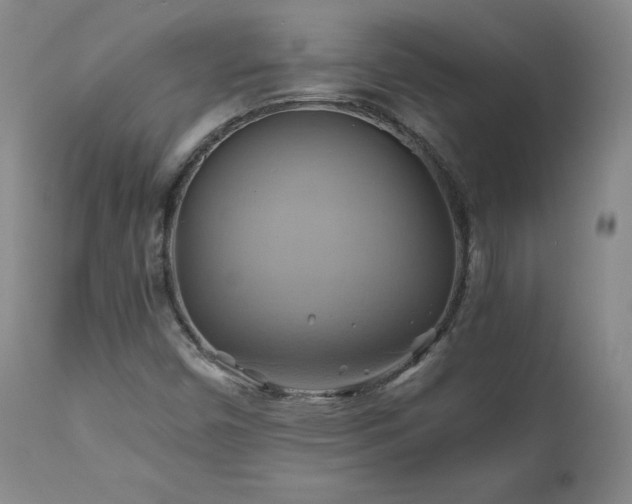 X0000110971450200906191324