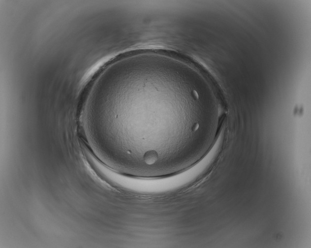 X0000110971452200906191324