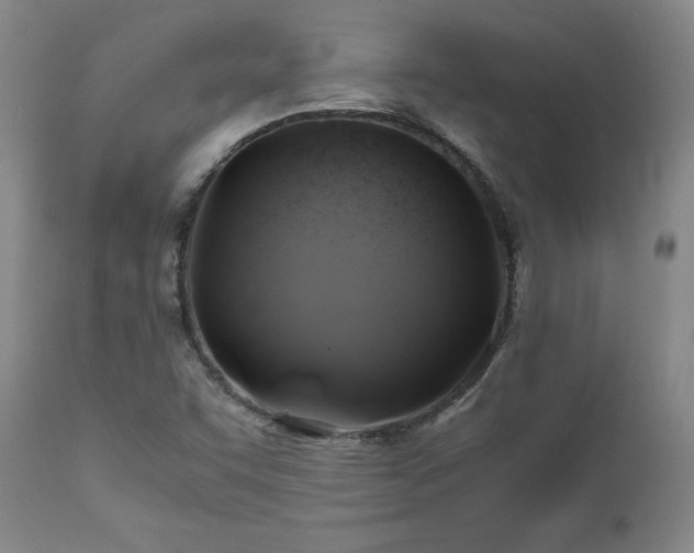 X0000110971455200906191324