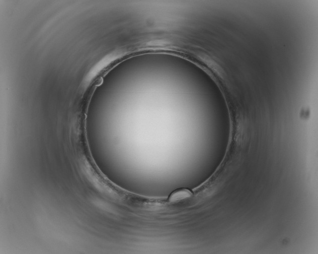 X0000110971458200906191324