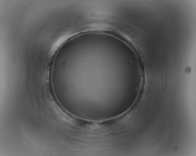 X0000110971459200906191324