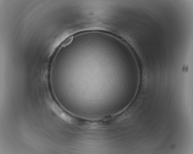 X0000110971460200906191324