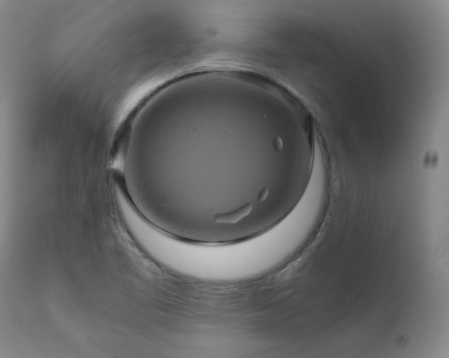 X0000110971461200906191324