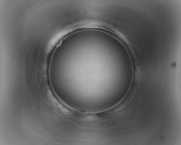 X0000110971464200906191324